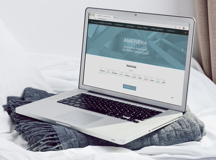 Digital Strategy and Design for AMEFIBRA